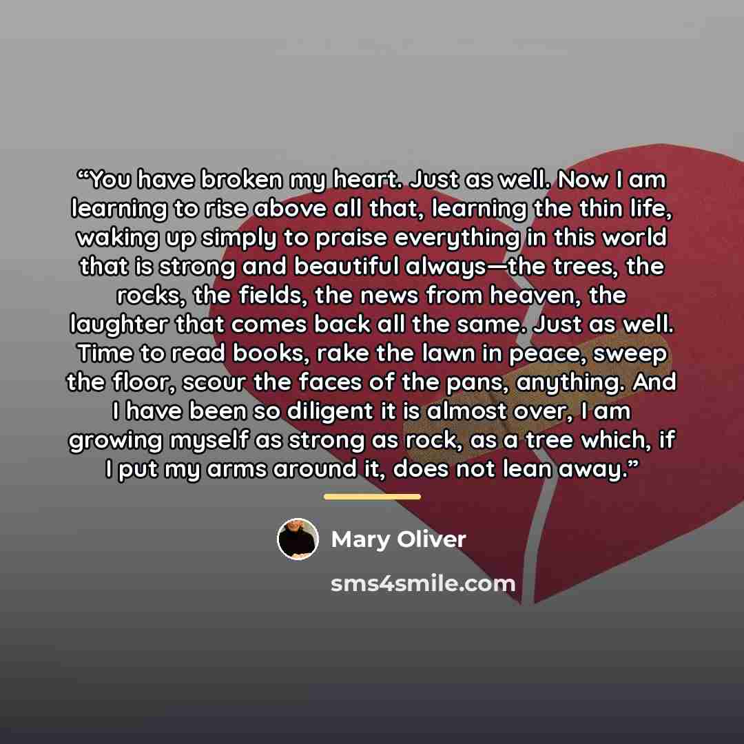 “You have broken my heart. Just as well. Now I am learning to rise above all that, learning the thin life, waking up simply to praise everything in this world that is strong and beautiful always—the trees, the rocks, the fields, the news from heaven, the laughter that comes back all the same. Just…” quote by Mary Oliver