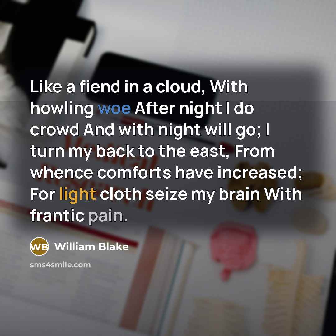 “Like a fiend in a cloud, With howling woe After night I do crowd And with night will go; I turn my back to the east, From whence comforts have increased; For light cloth seize my brain With frantic pain.” quote by William Blake