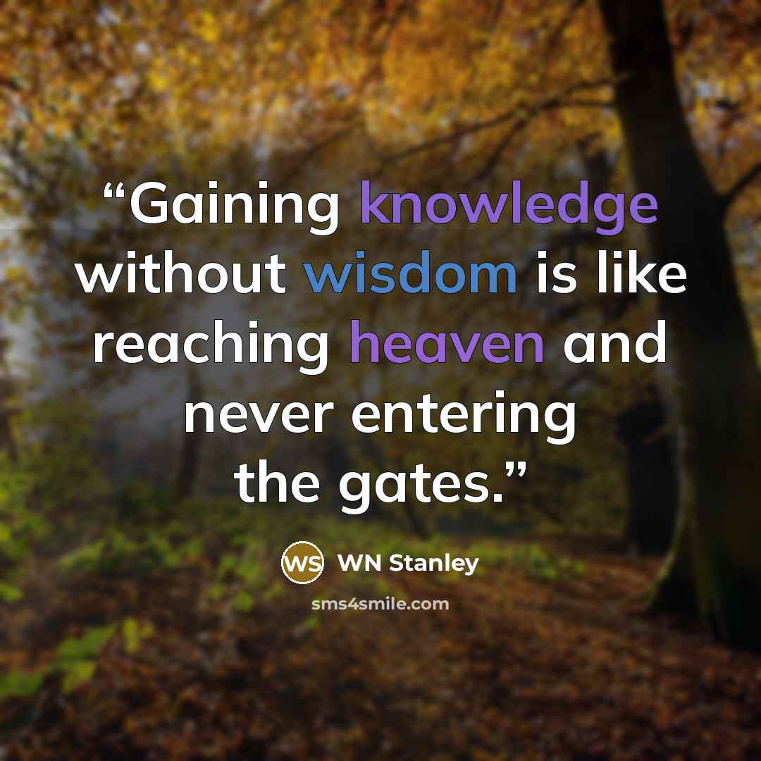 “Gaining knowledge without wisdom is like reaching heaven and never entering the gates.” quote by WN Stanley