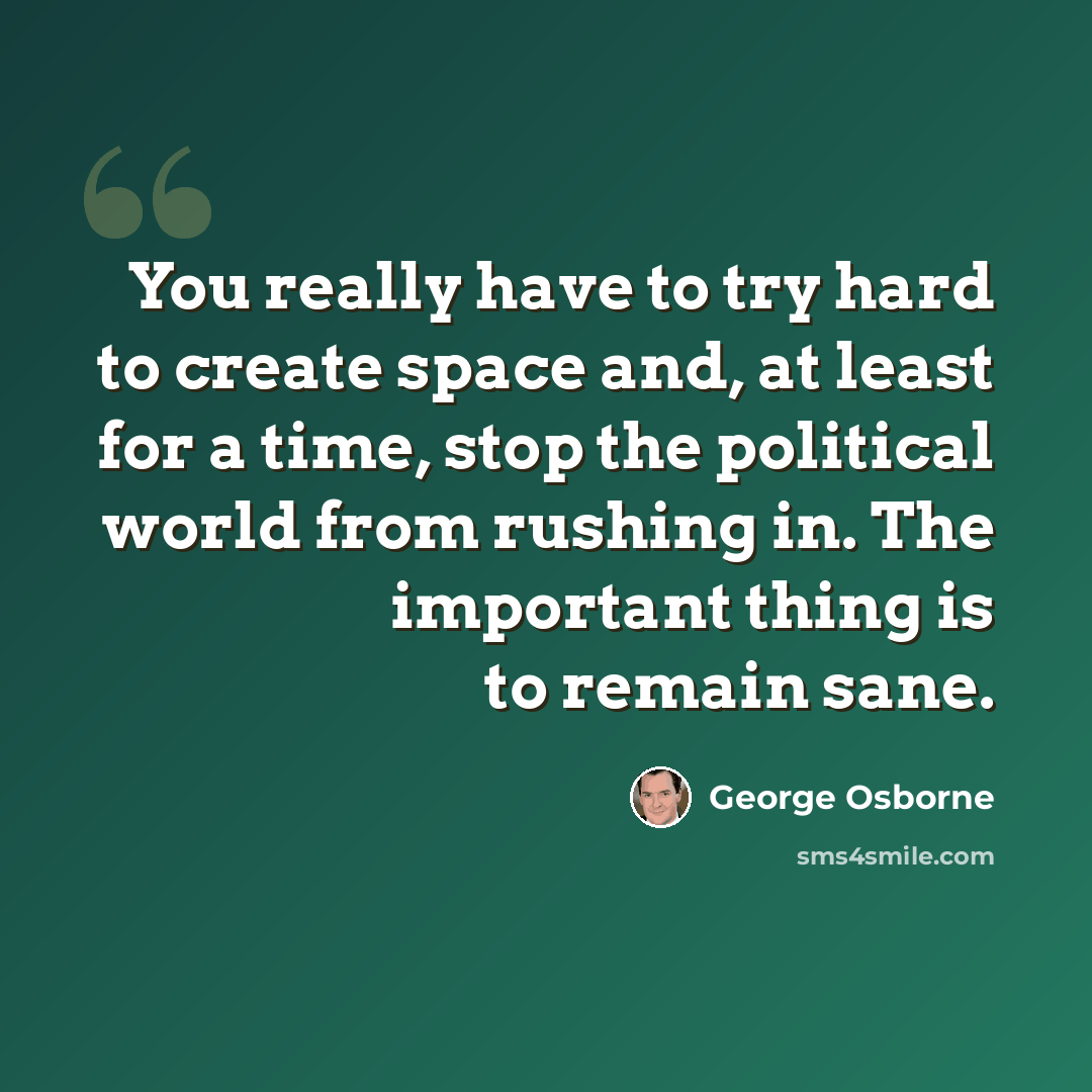 “You really have to try hard to create space and, at least for a time, stop the political world from rushing in. The important thing is to remain sane.” quote by George Osborne