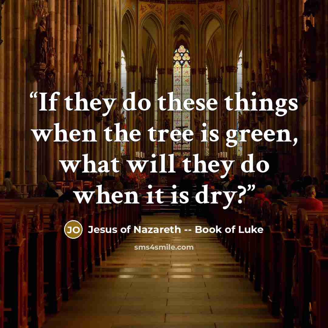“If they do these things when the tree is green, what will they do when it is dry?” quote by Jesus of Nazareth -- Book of Luke