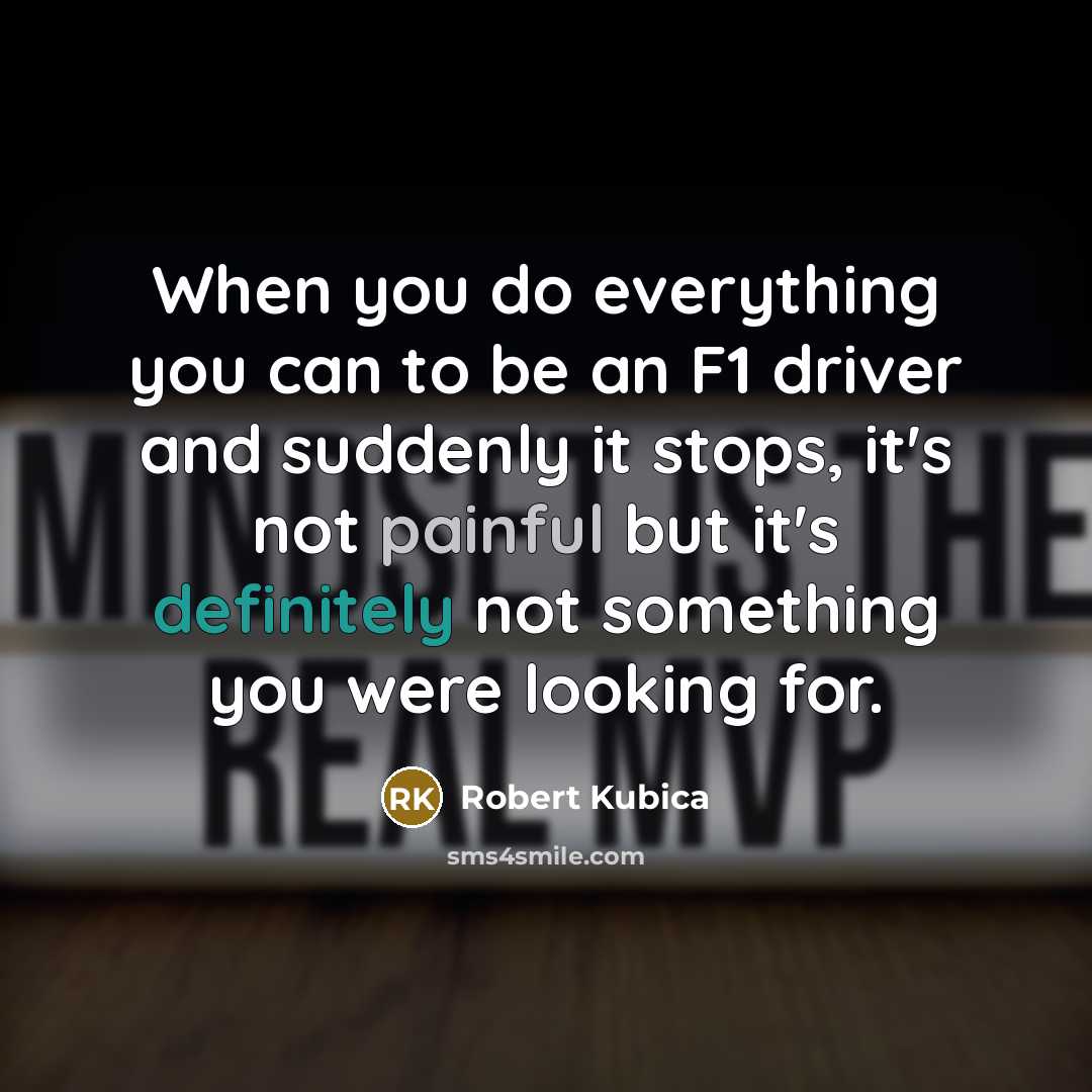 “When you do everything you can to be an F1 driver and suddenly it stops, it's not painful but it's definitely not something you were looking for.” quote by Robert Kubica