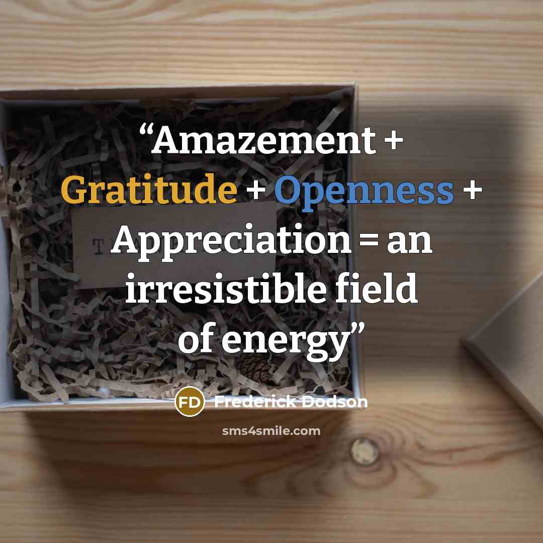 “Amazement + Gratitude + Openness + Appreciation = an irresistible field of energy” quote by Frederick Dodson