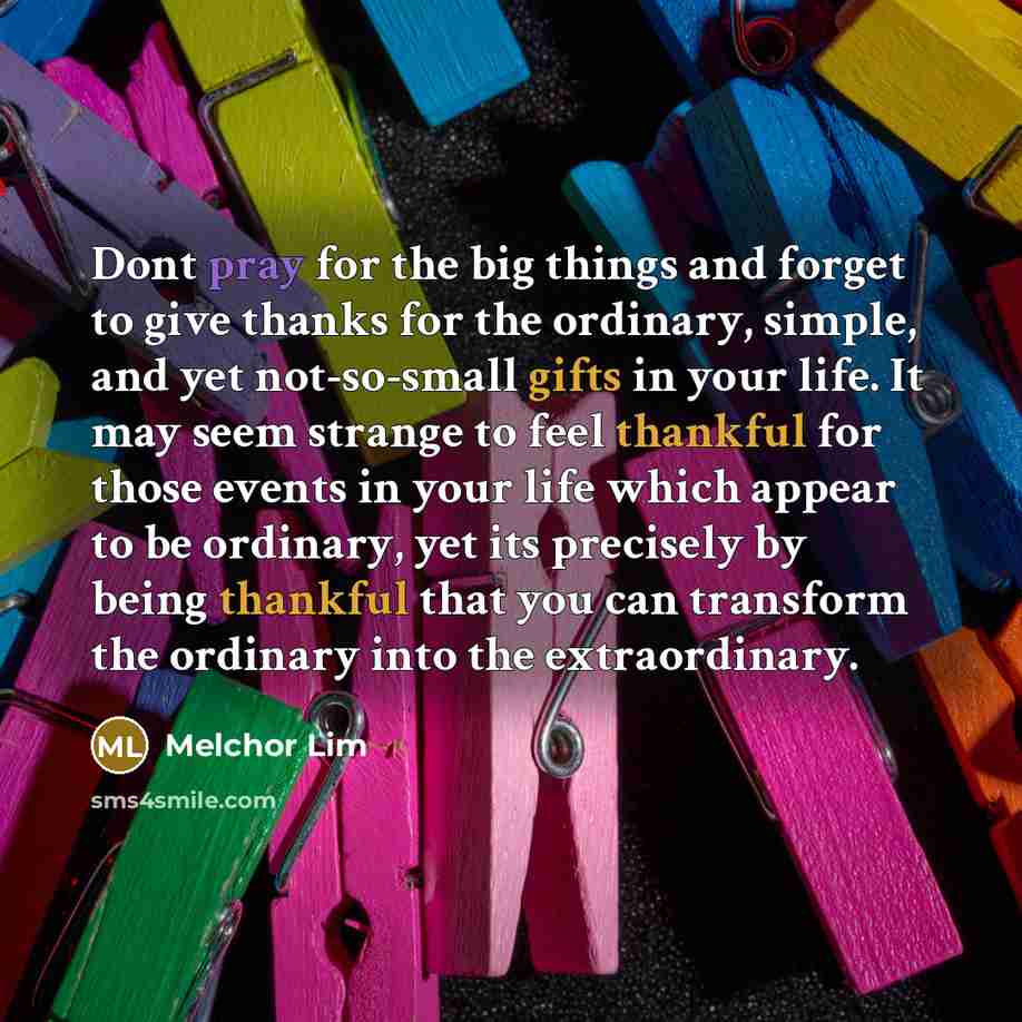 “Dont pray for the big things and forget to give thanks for the ordinary, simple, and yet not-so-small gifts in your life. It may seem strange to feel thankful for those events in your life which appear to be ordinary, yet its precisely by being thankful that you can transform the ordinary into the…” quote by Melchor Lim