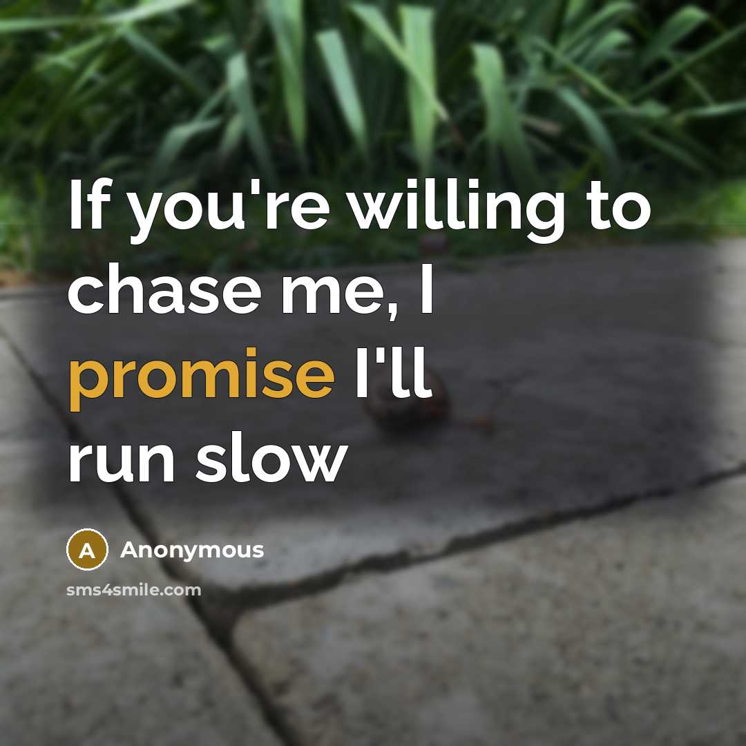 “If you're willing to chase me, I promise I'll run slow” quote by Anonymous