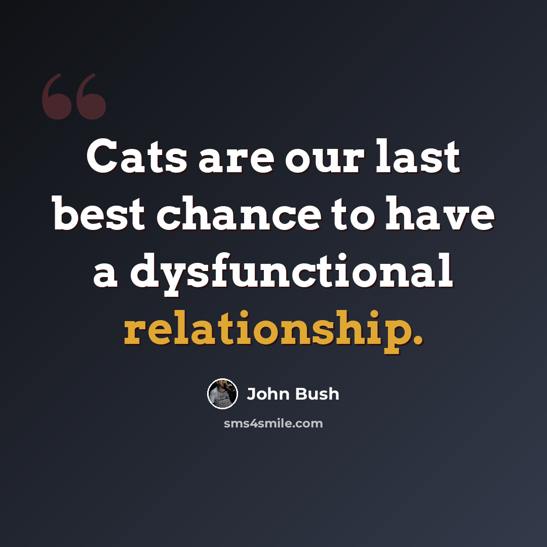 “Cats are our last best chance to have a dysfunctional relationship.” quote by John Bush
