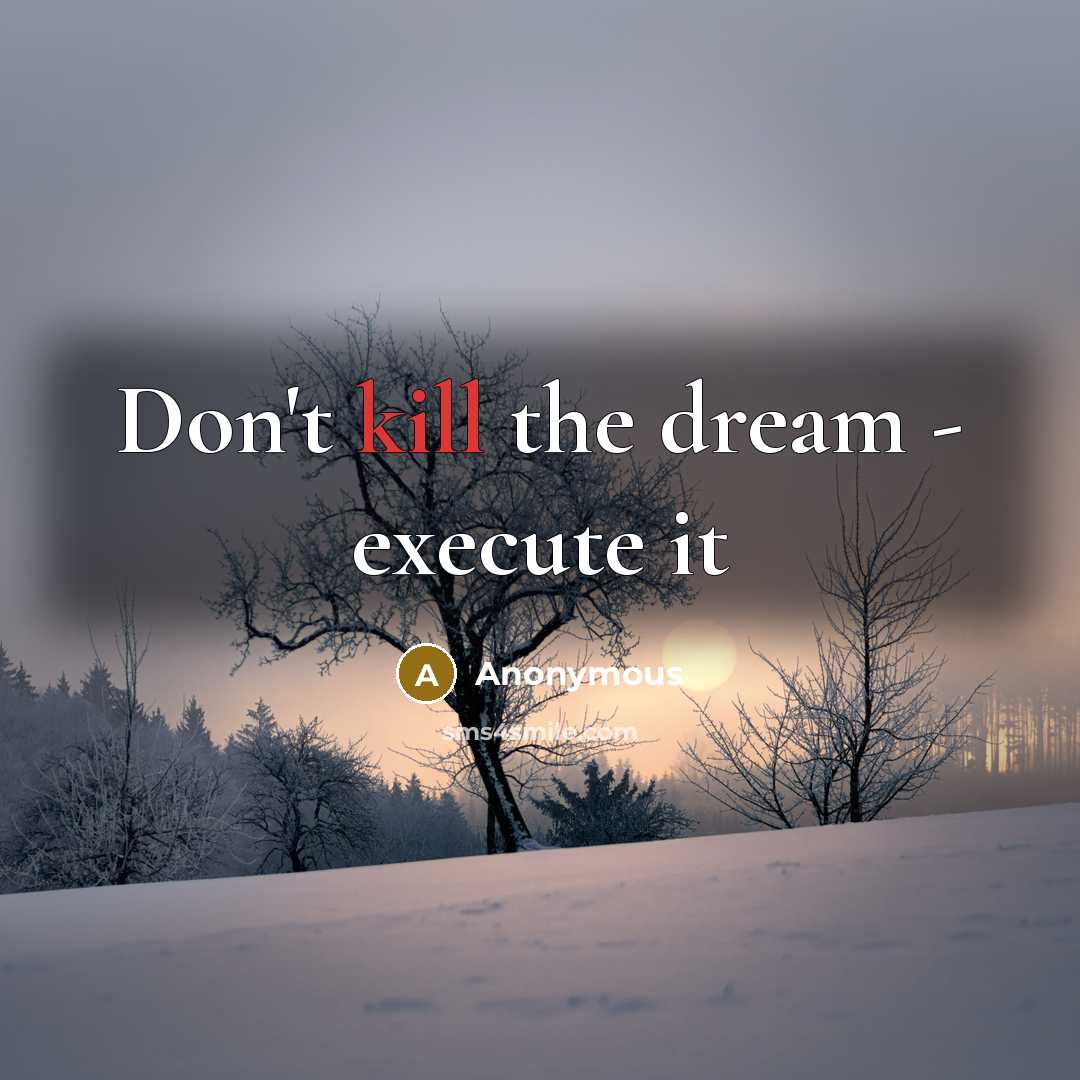 “Don't kill the dream - execute it” quote by Anonymous