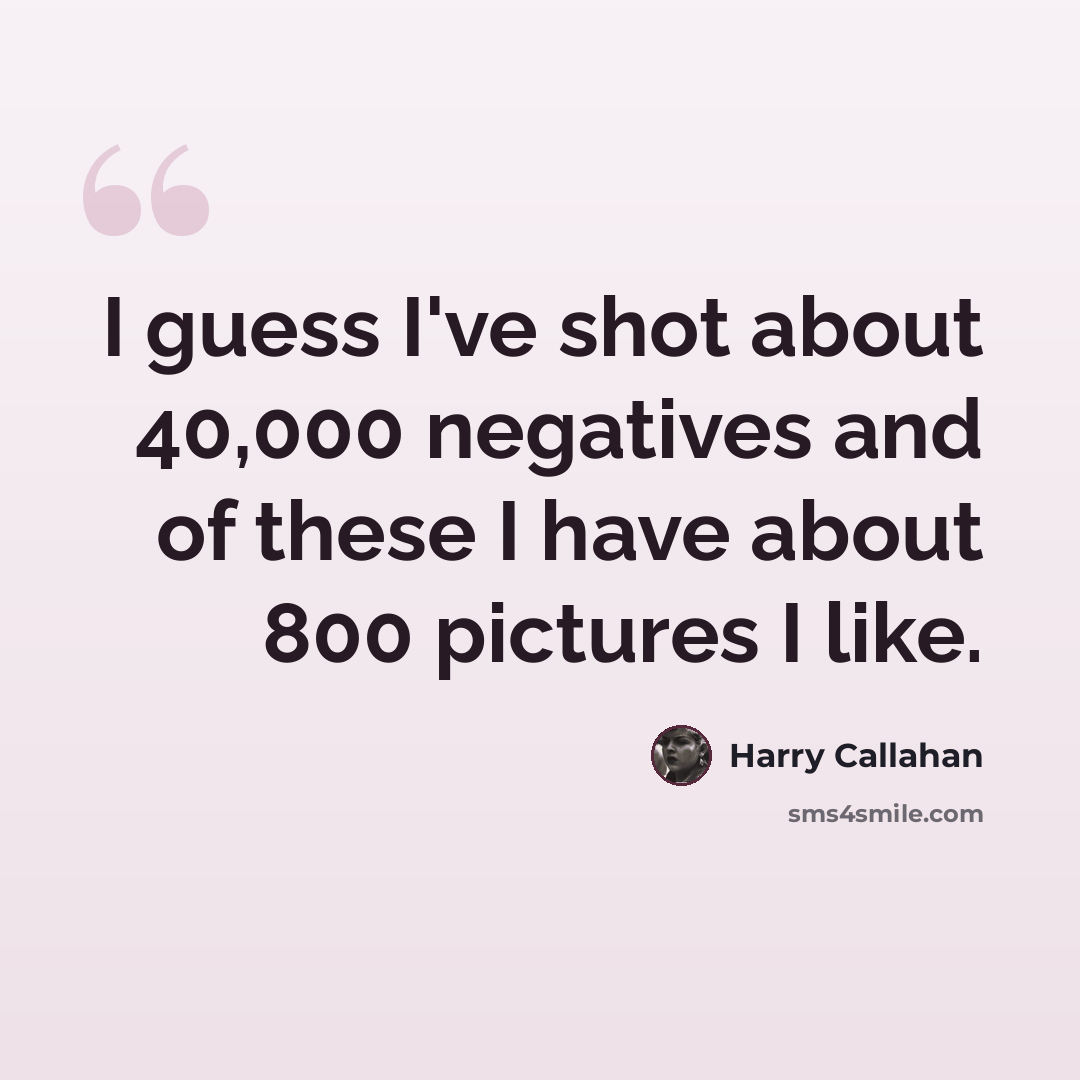 “I guess I've shot about 40,000 negatives and of these I have about 800 pictures I like.” quote by Harry Callahan