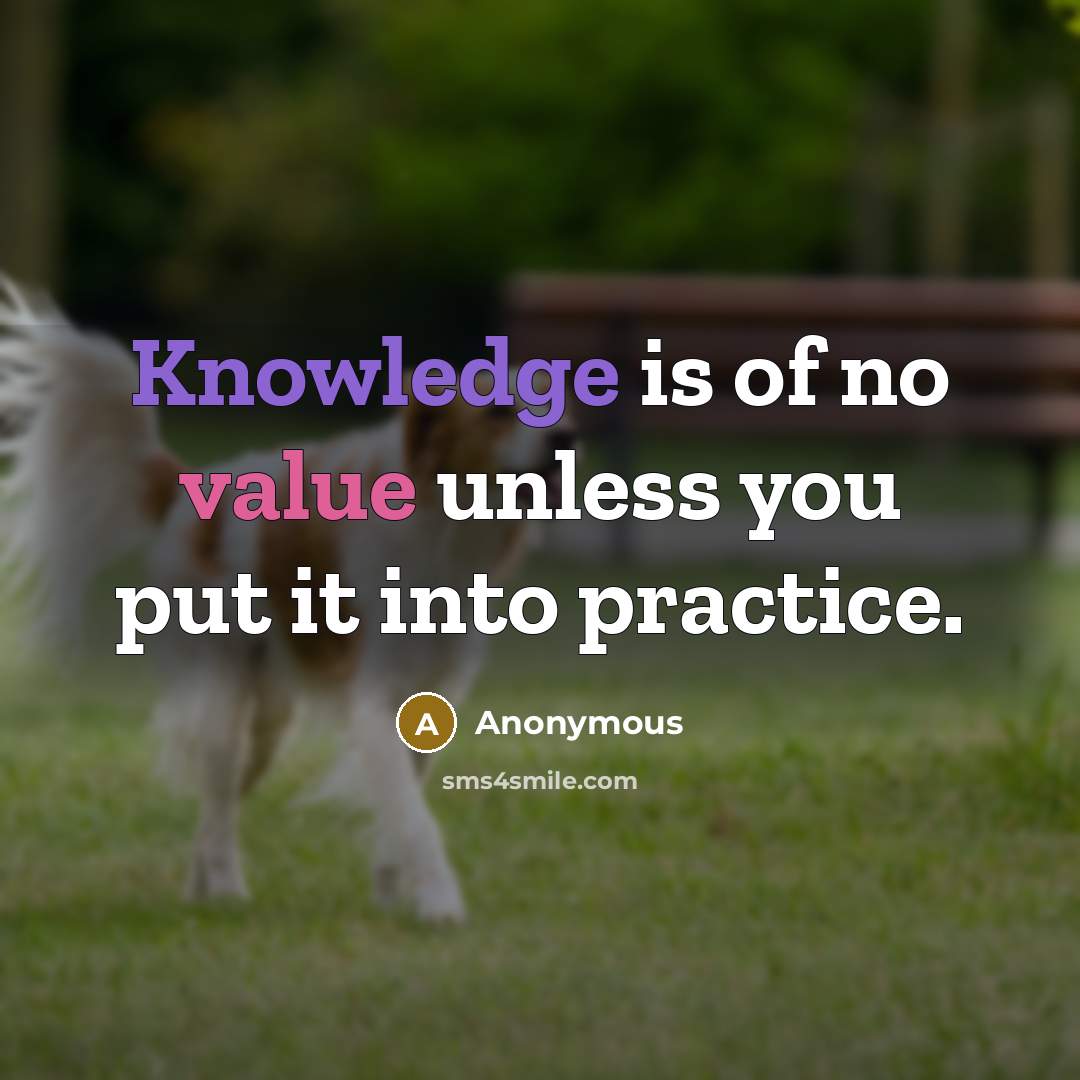 “Knowledge is of no value unless you put it into practice.” quote by Anonymous