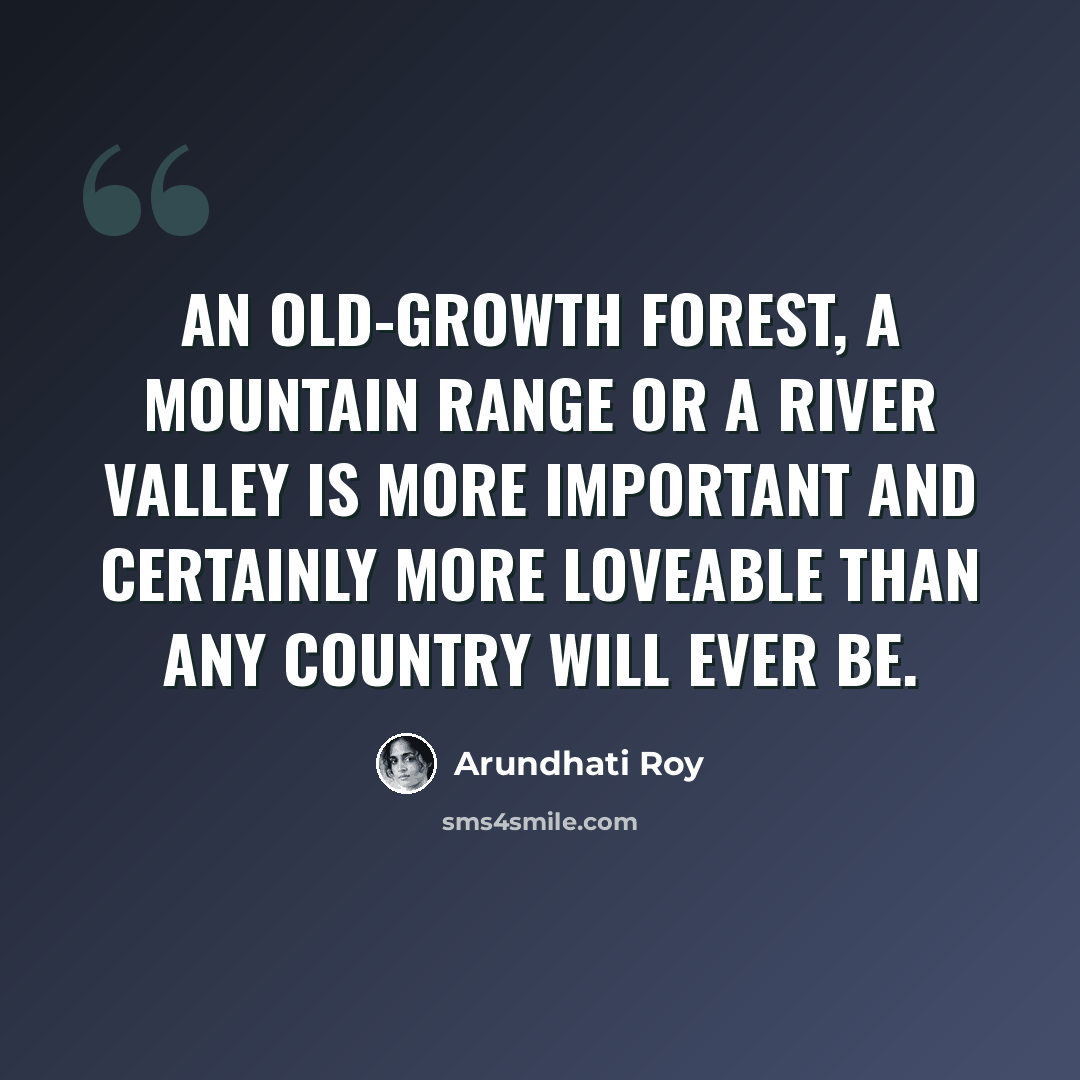 “An old-growth forest, a mountain range or a river valley is more important and certainly more loveable than any country will ever be.” quote by Arundhati Roy