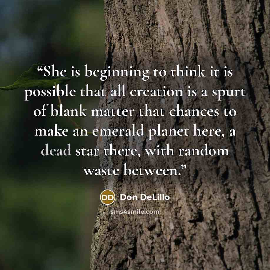 “She is beginning to think it is possible that all creation is a spurt of blank matter that chances to make an emerald planet here, a dead star there, with random waste between.” quote by Don DeLillo