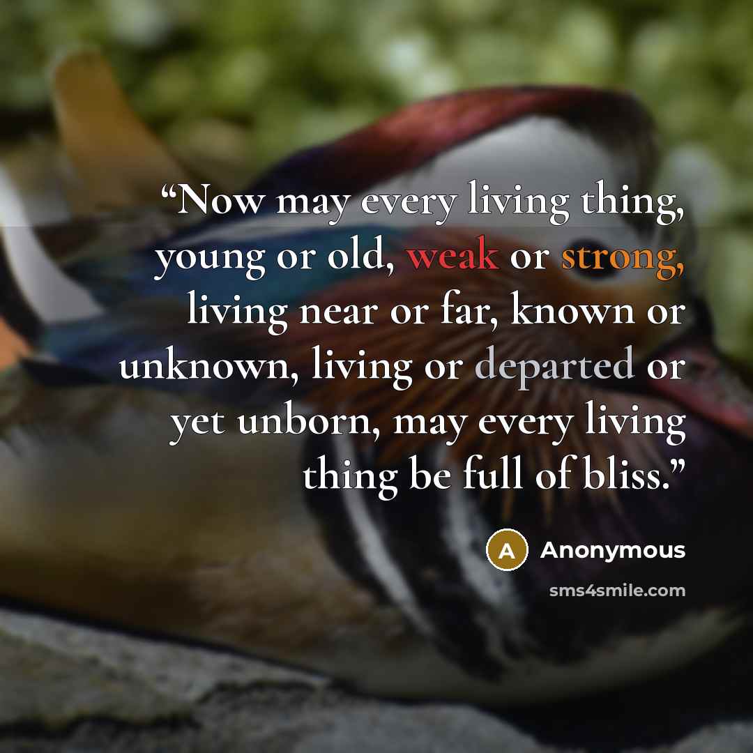 “Now may every living thing, young or old, weak or strong, living near or far, known or unknown, living or departed or yet unborn, may every living thing be full of bliss.” quote by Anonymous