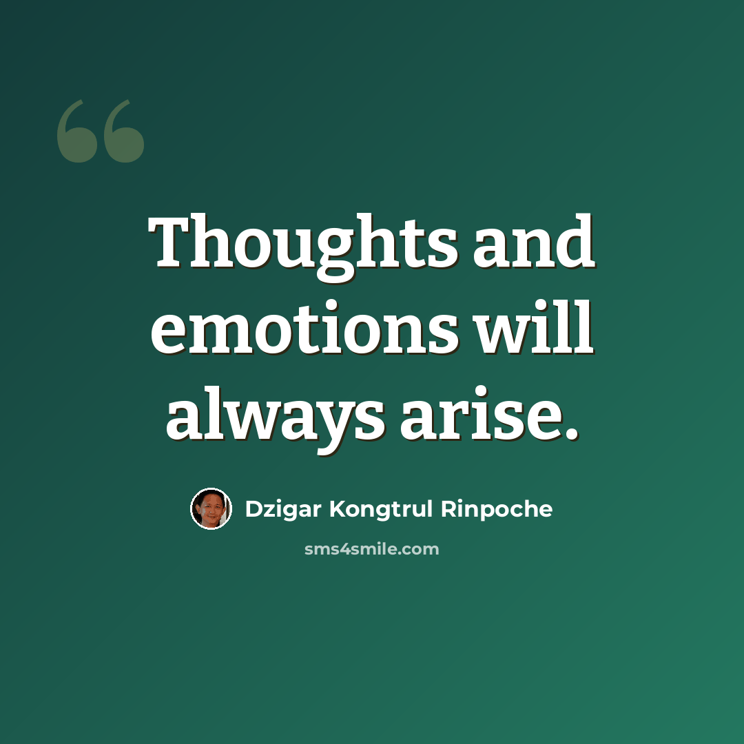 “Thoughts and emotions will always arise.” quote by Dzigar Kongtrul Rinpoche