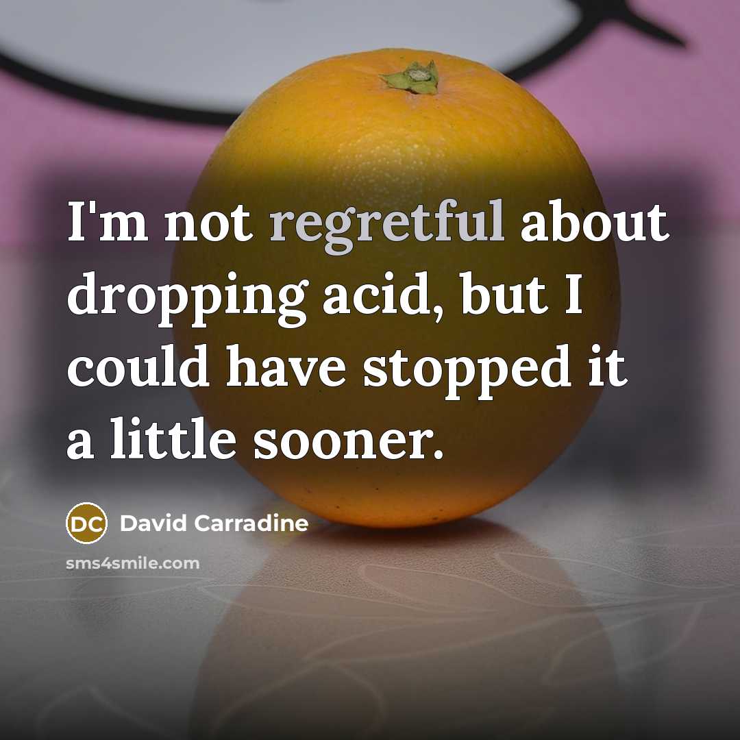 “I'm not regretful about dropping acid, but I could have stopped it a little sooner.” quote by David Carradine