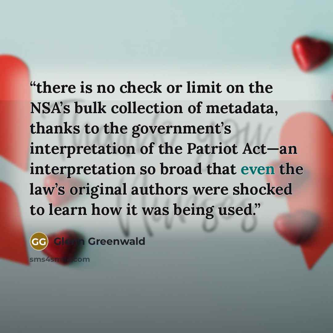 “there is no check or limit on the NSA’s bulk collection of metadata, thanks to the government’s interpretation of the Patriot Act—an interpretation so broad that even the law’s original authors were shocked to learn how it was being used.” quote by Glenn Greenwald