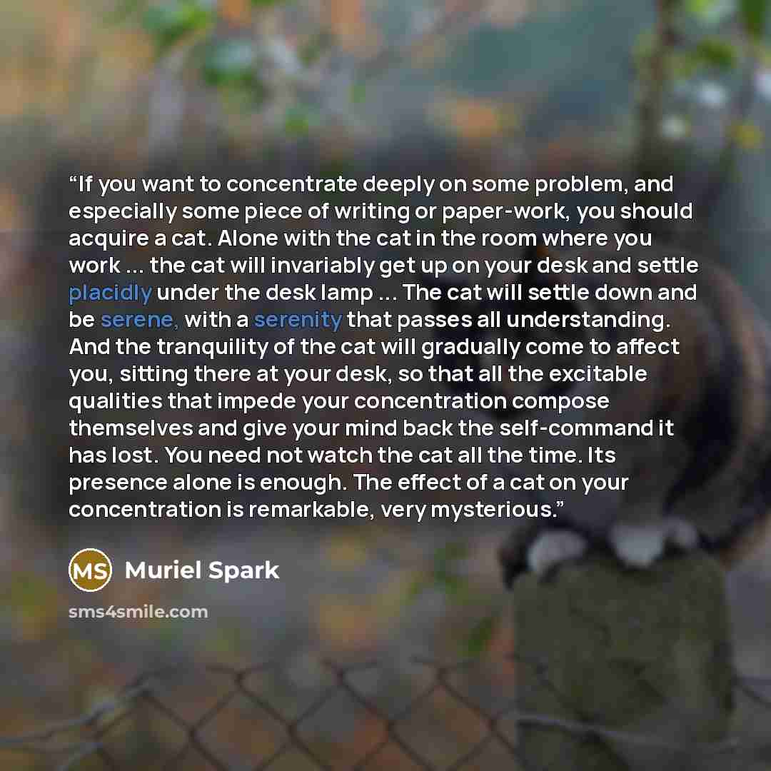 “If you want to concentrate deeply on some problem, and especially some piece of writing or paper-work, you should acquire a cat. Alone with the cat in the room where you work ... the cat will invariably get up on your desk and settle placidly under the desk lamp ... The cat will settle down and be…” quote by Muriel Spark