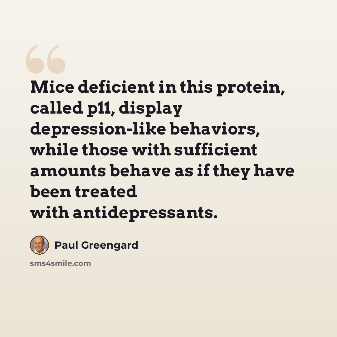 “Mice deficient in this protein, called p11, display depression-like behaviors, while those with sufficient amounts behave as if they have been treated with antidepressants.” quote by Paul Greengard