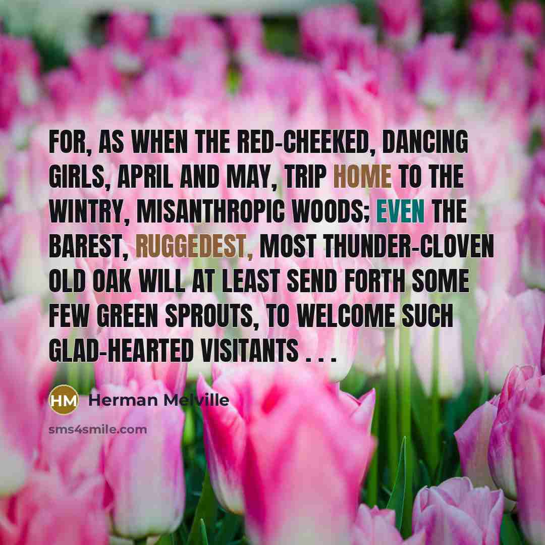 “For, as when the red-cheeked, dancing girls, April and May, trip home to the wintry, misanthropic woods; even the barest, ruggedest, most thunder-cloven old oak will at least send forth some few green sprouts, to welcome such glad-hearted visitants . . .” quote by Herman Melville