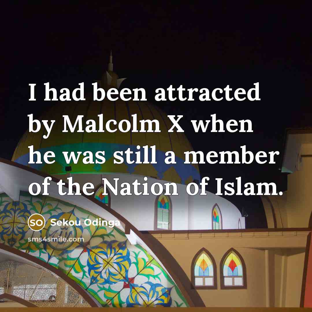 “I had been attracted by Malcolm X when he was still a member of the Nation of Islam.” quote by Sekou Odinga