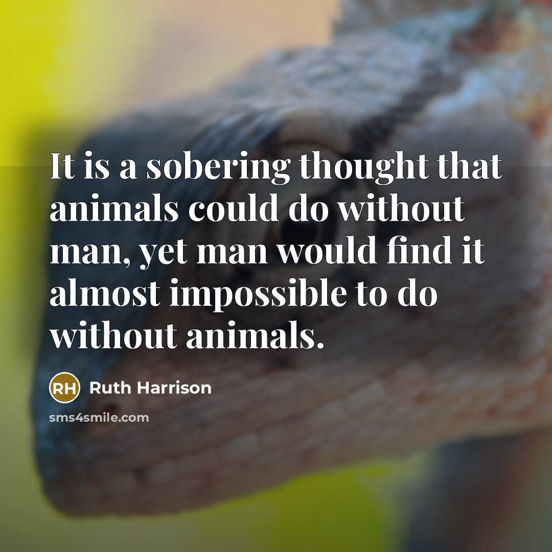 “It is a sobering thought that animals could do without man, yet man would find it almost impossible to do without animals.” quote by Ruth Harrison