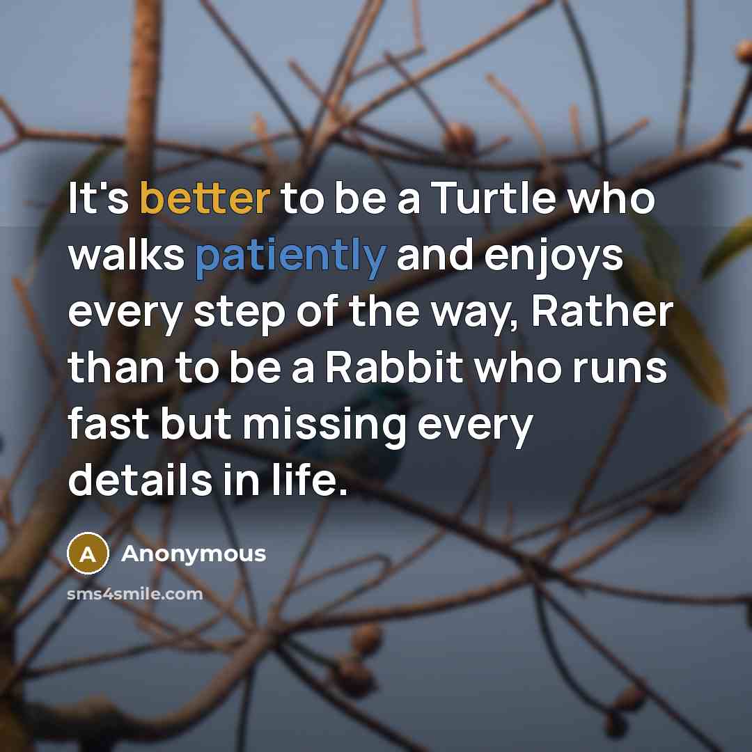 “It's better to be a Turtle who walks patiently and enjoys every step of the way, Rather than to be a Rabbit who runs fast but missing every details in life.” quote by Anonymous