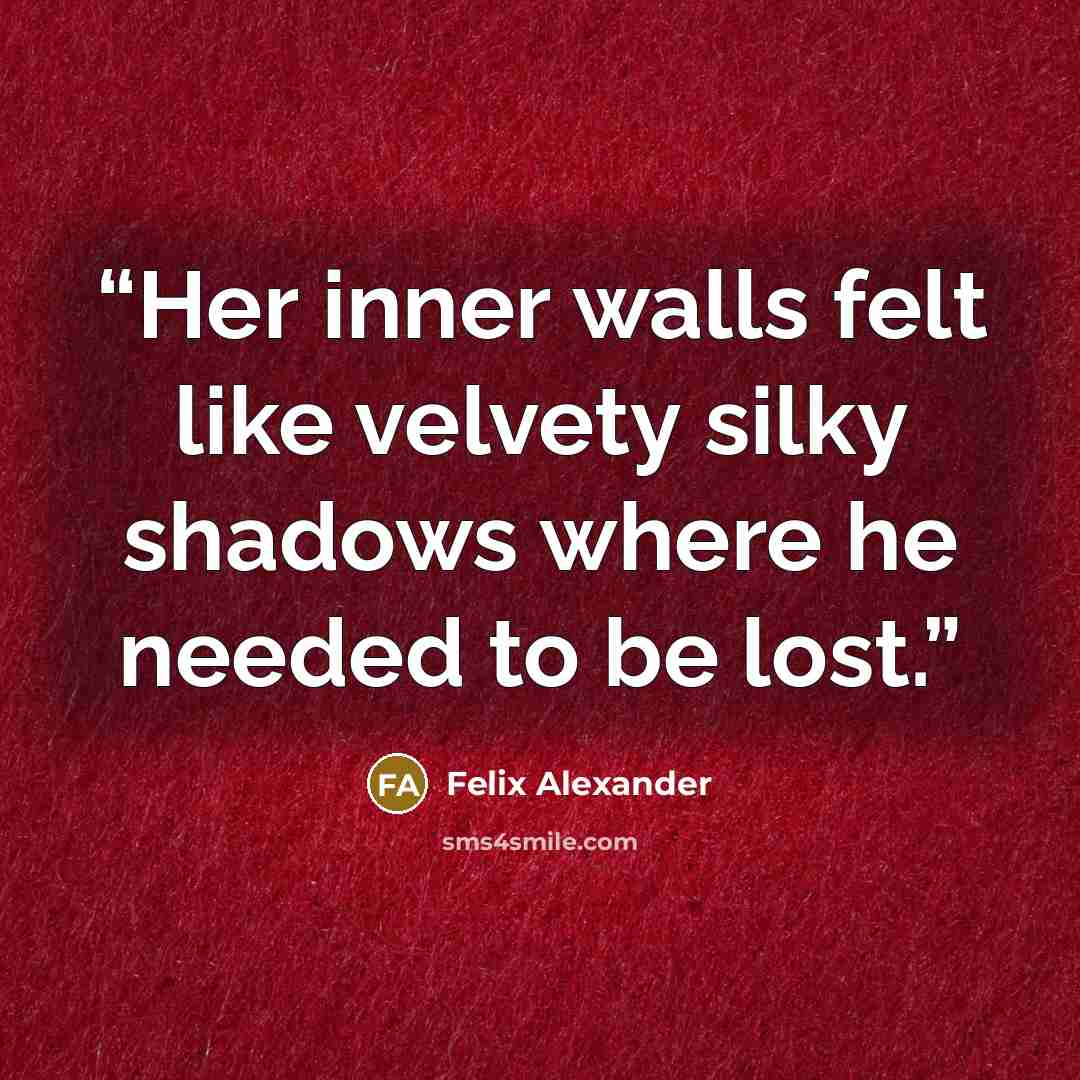 “Her inner walls felt like velvety silky shadows where he needed to be lost.” quote by Felix Alexander