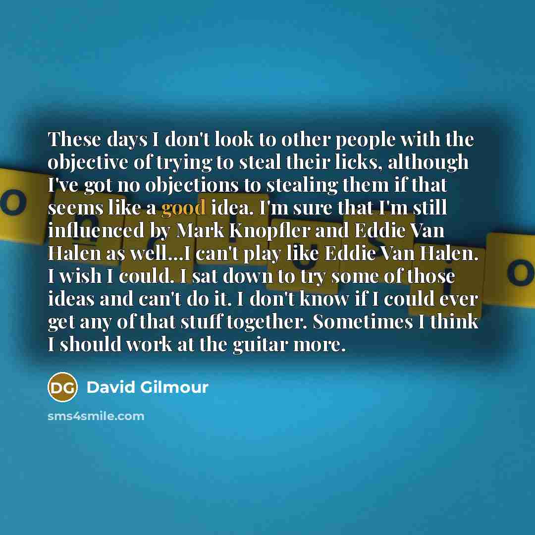 “These days I don't look to other people with the objective of trying to steal their licks, although I've got no objections to stealing them if that seems like a good idea. I'm sure that I'm still influenced by Mark Knopfler and Eddie Van Halen as well…I can't play like Eddie Van Halen. I wish I…” quote by David Gilmour