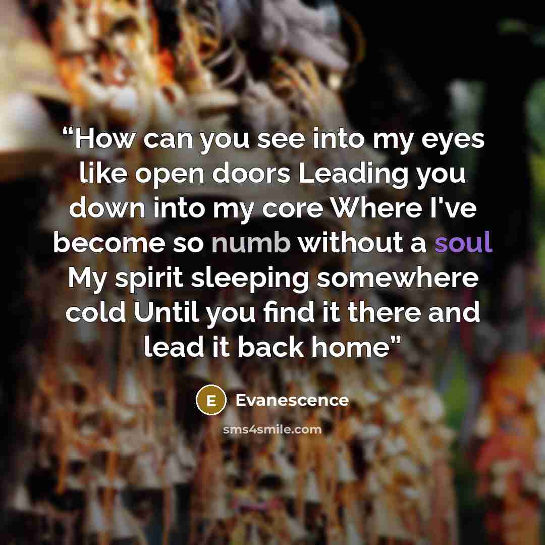 “How can you see into my eyes like open doors Leading you down into my core Where I've become so numb without a soul My spirit sleeping somewhere cold Until you find it there and lead it back home” quote by Evanescence