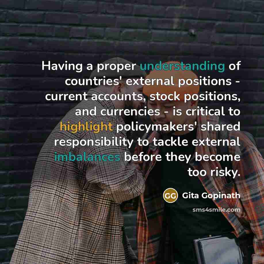 “Having a proper understanding of countries' external positions - current accounts, stock positions, and currencies - is critical to highlight policymakers' shared responsibility to tackle external imbalances before they become too risky.” quote by Gita Gopinath