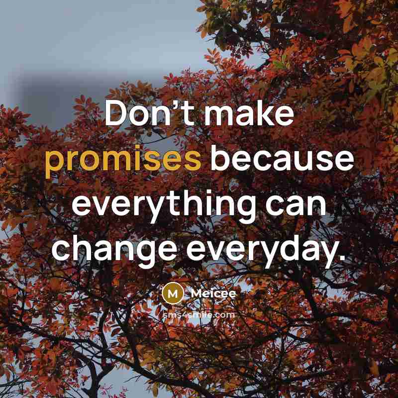 “Don't make promises because everything can change everyday.” quote by Meicee