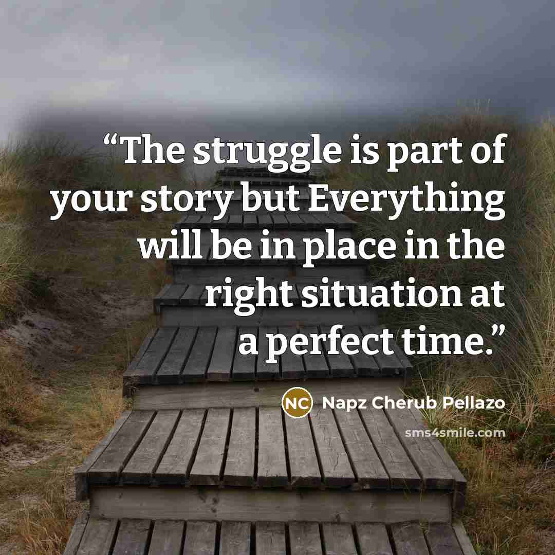 “The struggle is part of your story but Everything will be in place in the right situation at a perfect time.” quote by Napz Cherub Pellazo