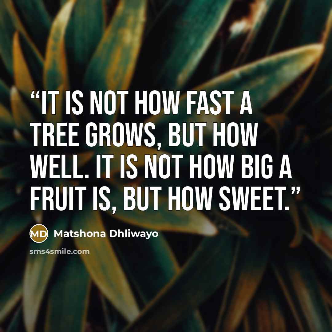 “It is not how fast a tree grows, but how well. It is not how big a fruit is, but how sweet.” quote by Matshona Dhliwayo