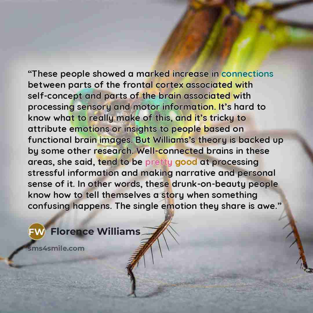 “These people showed a marked increase in connections between parts of the frontal cortex associated with self-concept and parts of the brain associated with processing sensory and motor information. It’s hard to know what to really make of this, and it’s tricky to attribute emotions or insights to…” quote by Florence Williams