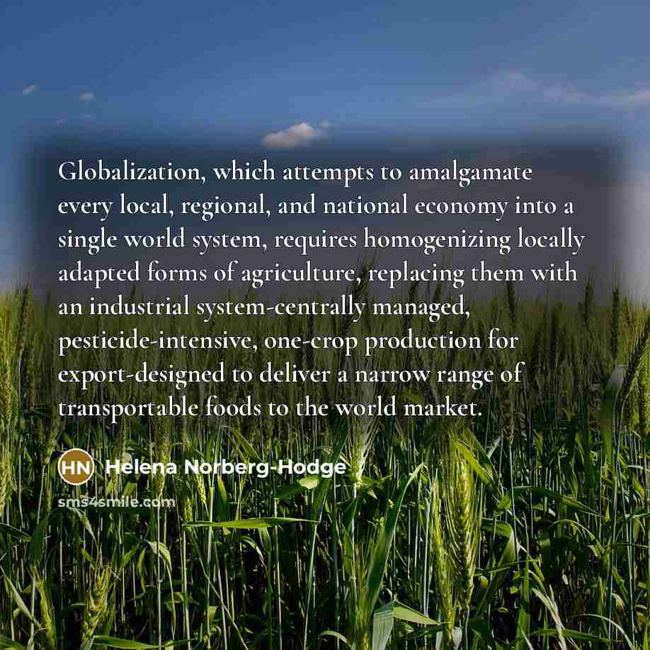 “Globalization, which attempts to amalgamate every local, regional, and national economy into a single world system, requires homogenizing locally adapted forms of agriculture, replacing them with an industrial system-centrally managed, pesticide-intensive, one-crop production for export-designed…” quote by Helena Norberg-Hodge