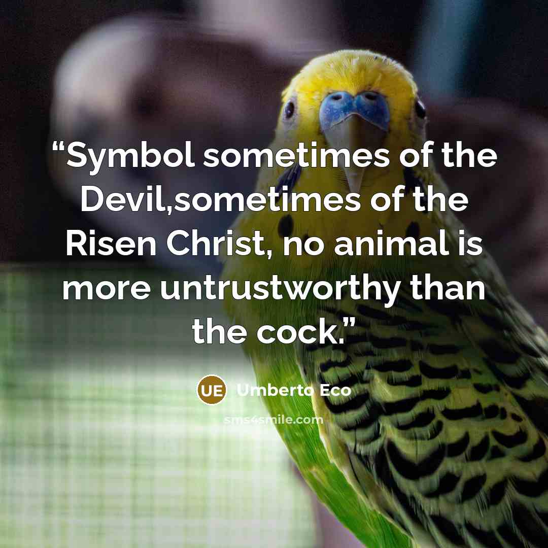 “Symbol sometimes of the Devil,sometimes of the Risen Christ, no animal is more untrustworthy than the cock.” quote by Umberto Eco