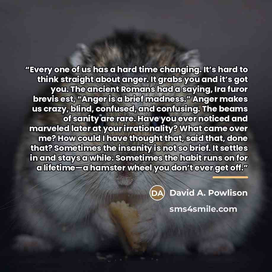 “Every one of us has a hard time changing. It’s hard to think straight about anger. It grabs you and it’s got you. The ancient Romans had a saying, Ira furor brevis est, “Anger is a brief madness.” Anger makes us crazy, blind, confused, and confusing. The beams of sanity are rare. Have you ever…” quote by David A. Powlison