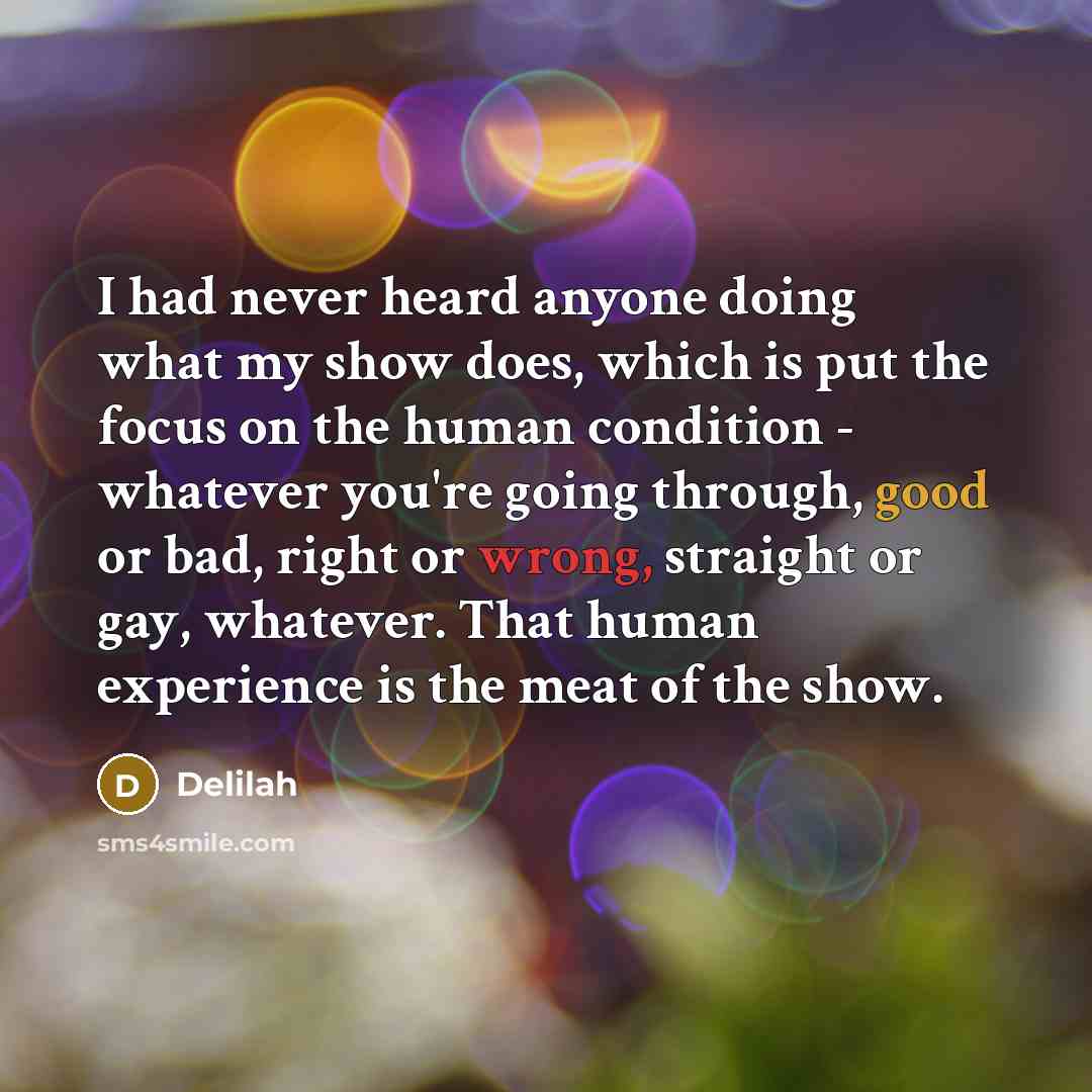 “I had never heard anyone doing what my show does, which is put the focus on the human condition - whatever you're going through, good or bad, right or wrong, straight or gay, whatever. That human experience is the meat of the show.” quote by Delilah