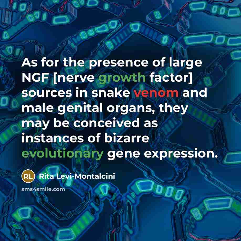 “As for the presence of large NGF [nerve growth factor] sources in snake venom and male genital organs, they may be conceived as instances of bizarre evolutionary gene expression.” quote by Rita Levi-Montalcini