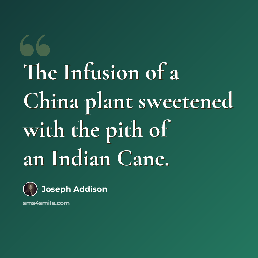 “The Infusion of a China plant sweetened with the pith of an Indian Cane.” quote by Joseph Addison