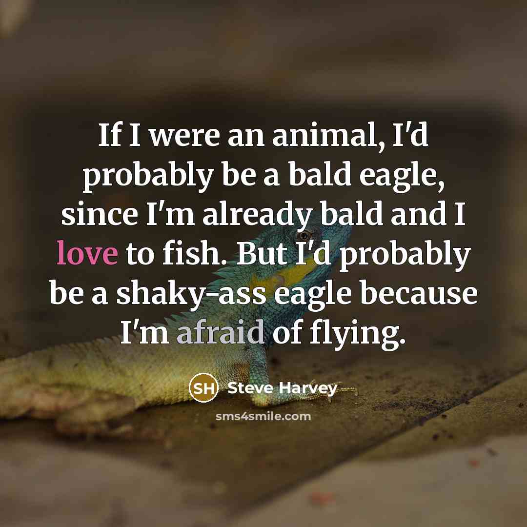 “If I were an animal, I'd probably be a bald eagle, since I'm already bald and I love to fish. But I'd probably be a shaky-ass eagle because I'm afraid of flying.” quote by Steve Harvey
