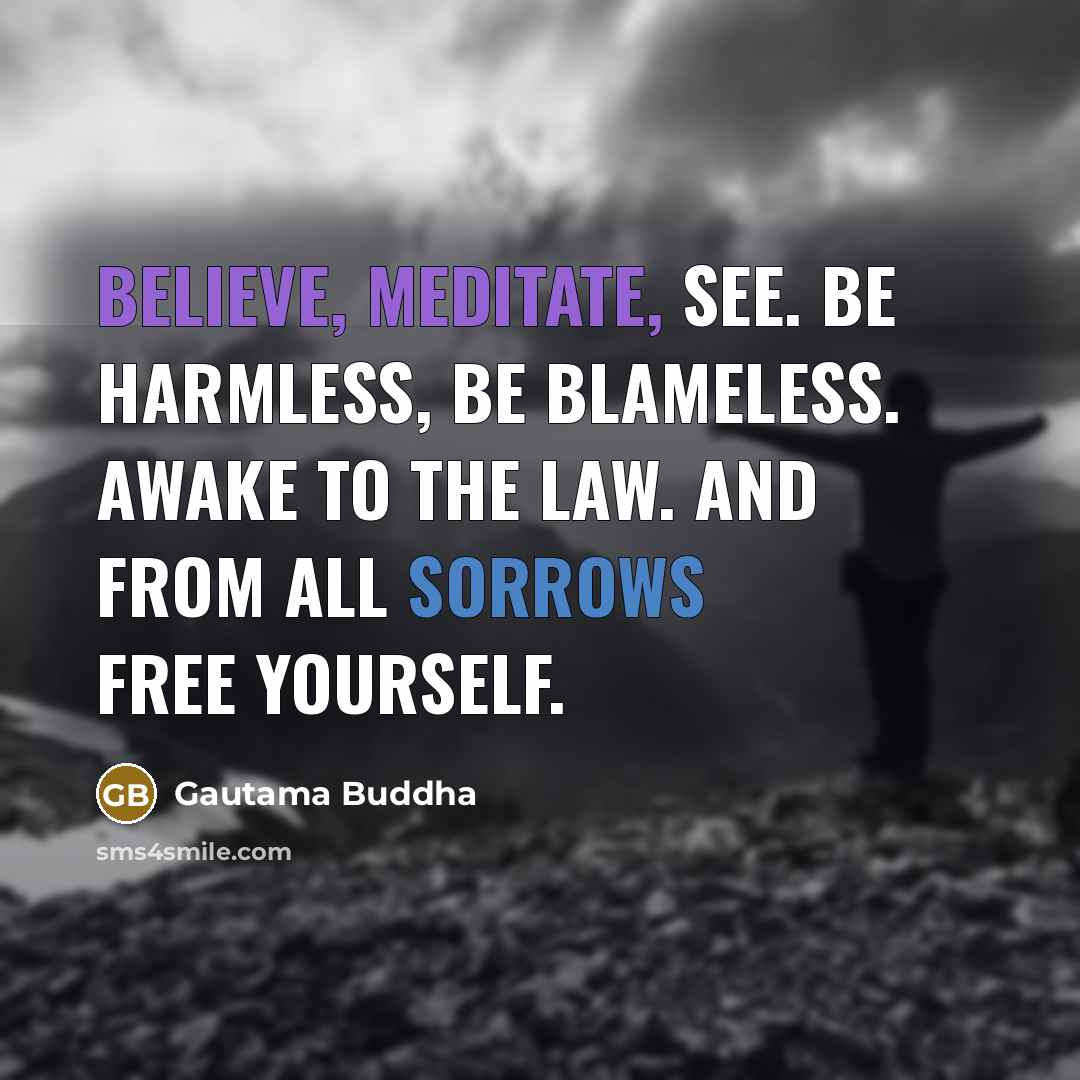 “Believe, meditate, see. Be harmless, be blameless. Awake to the law. And from all sorrows free yourself.” quote by Gautama Buddha