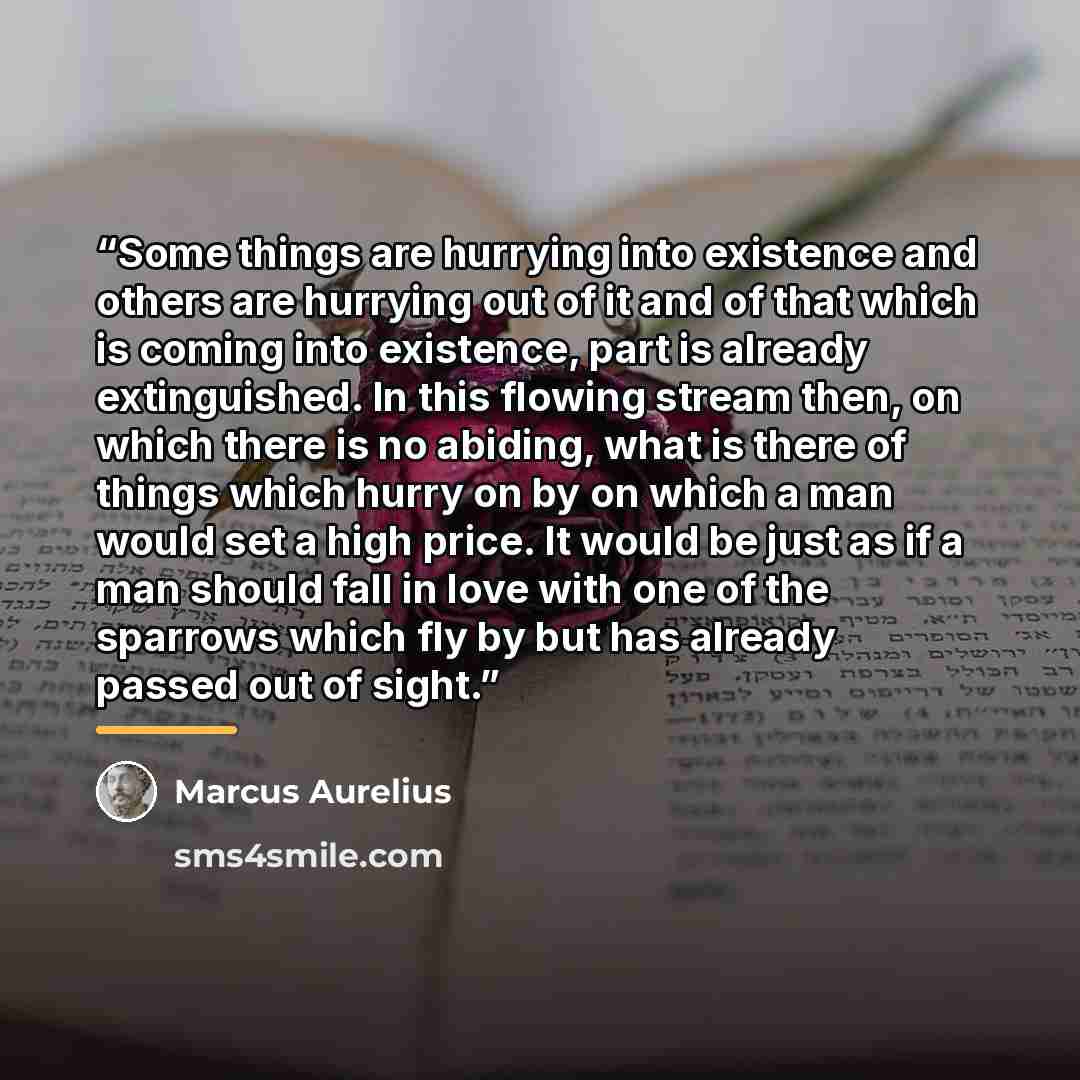 “Some things are hurrying into existence and others are hurrying out of it and of that which is coming into existence, part is already extinguished. In this flowing stream then, on which there is no abiding, what is there of things which hurry on by on which a man would set a high price. It would…” quote by Marcus Aurelius