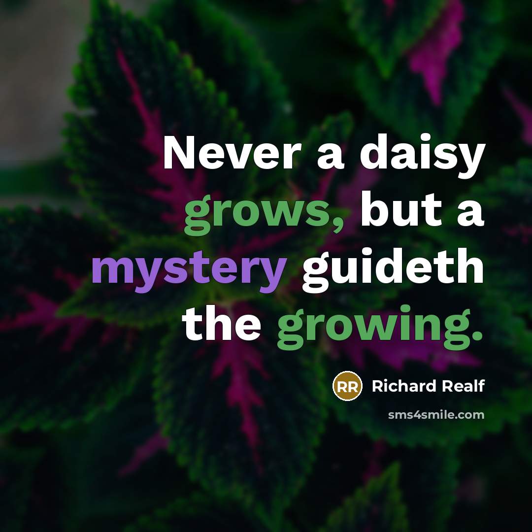 “Never a daisy grows, but a mystery guideth the growing.” quote by Richard Realf