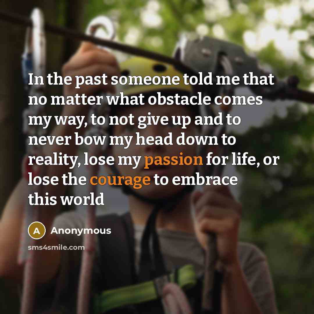 “In the past someone told me that no matter what obstacle comes my way, to not give up and to never bow my head down to reality, lose my passion for life, or lose the courage to embrace this world” quote by Anonymous