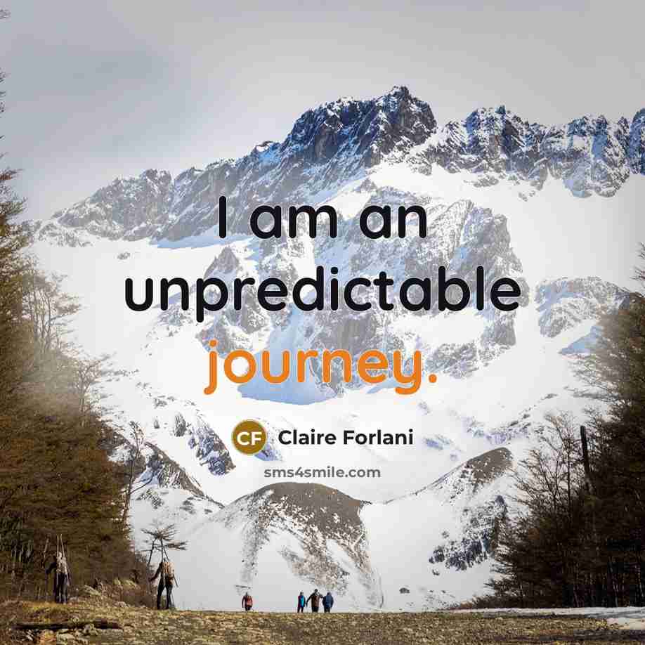 “I am an unpredictable journey.” quote by Claire Forlani