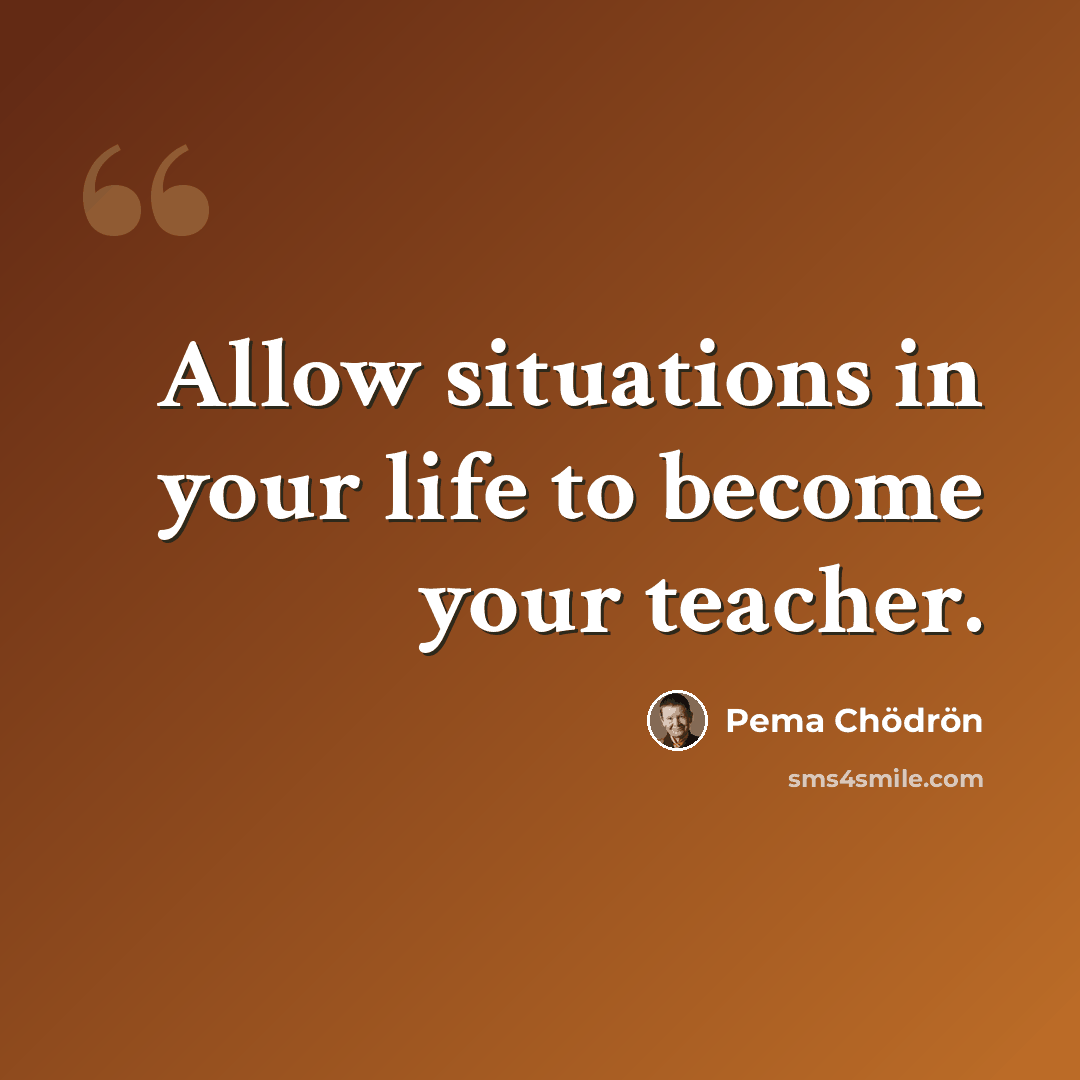 “Allow situations in your life to become your teacher.” quote by Pema Chodron