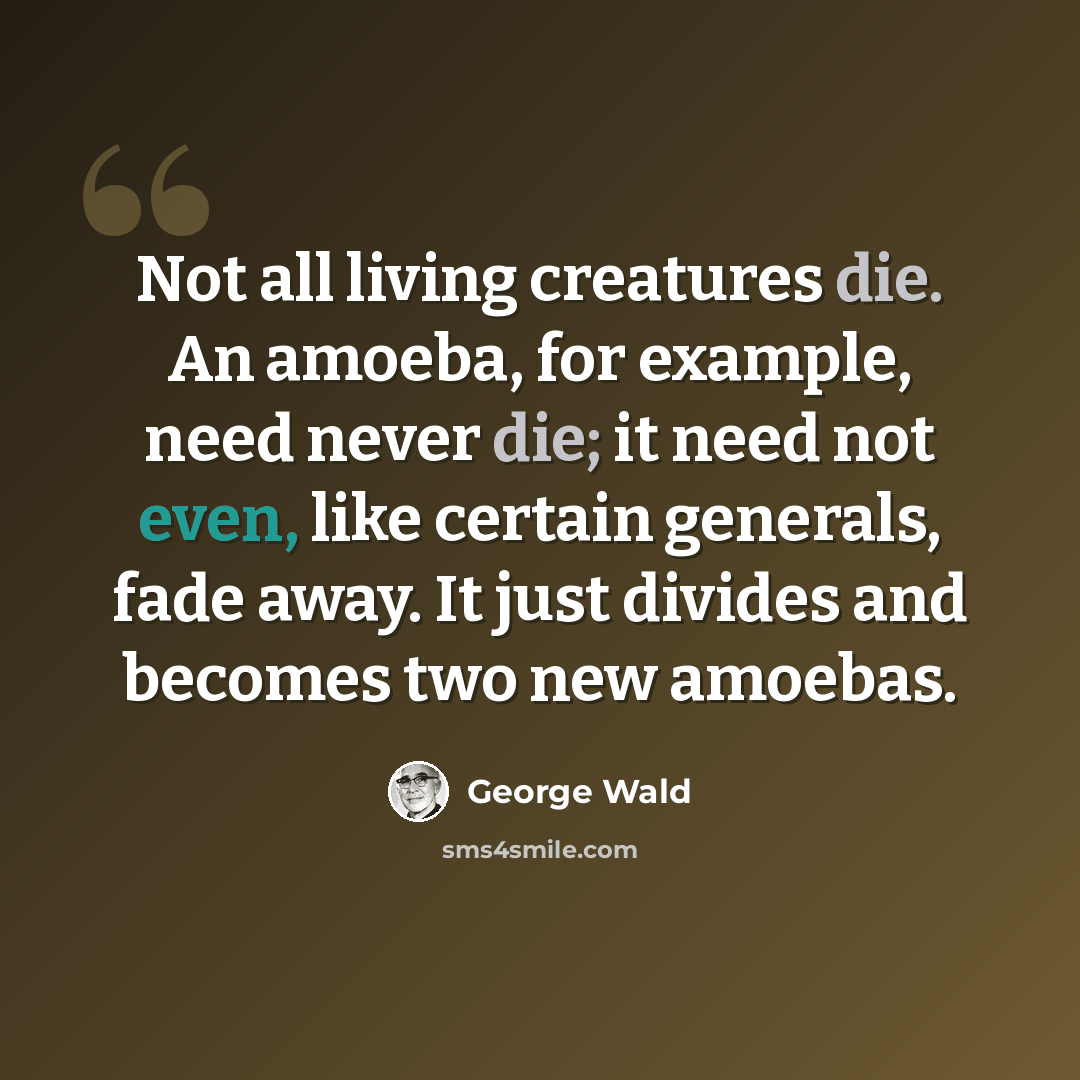 “Not all living creatures die. An amoeba, for example, need never die; it need not even, like certain generals, fade away. It just divides and becomes two new amoebas.” quote by George Wald