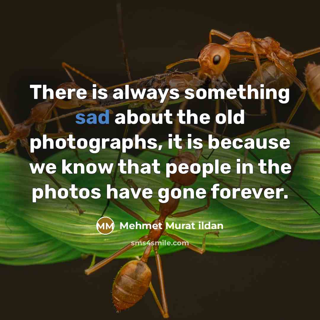 “There is always something sad about the old photographs, it is because we know that people in the photos have gone forever.” quote by Mehmet Murat Ildan