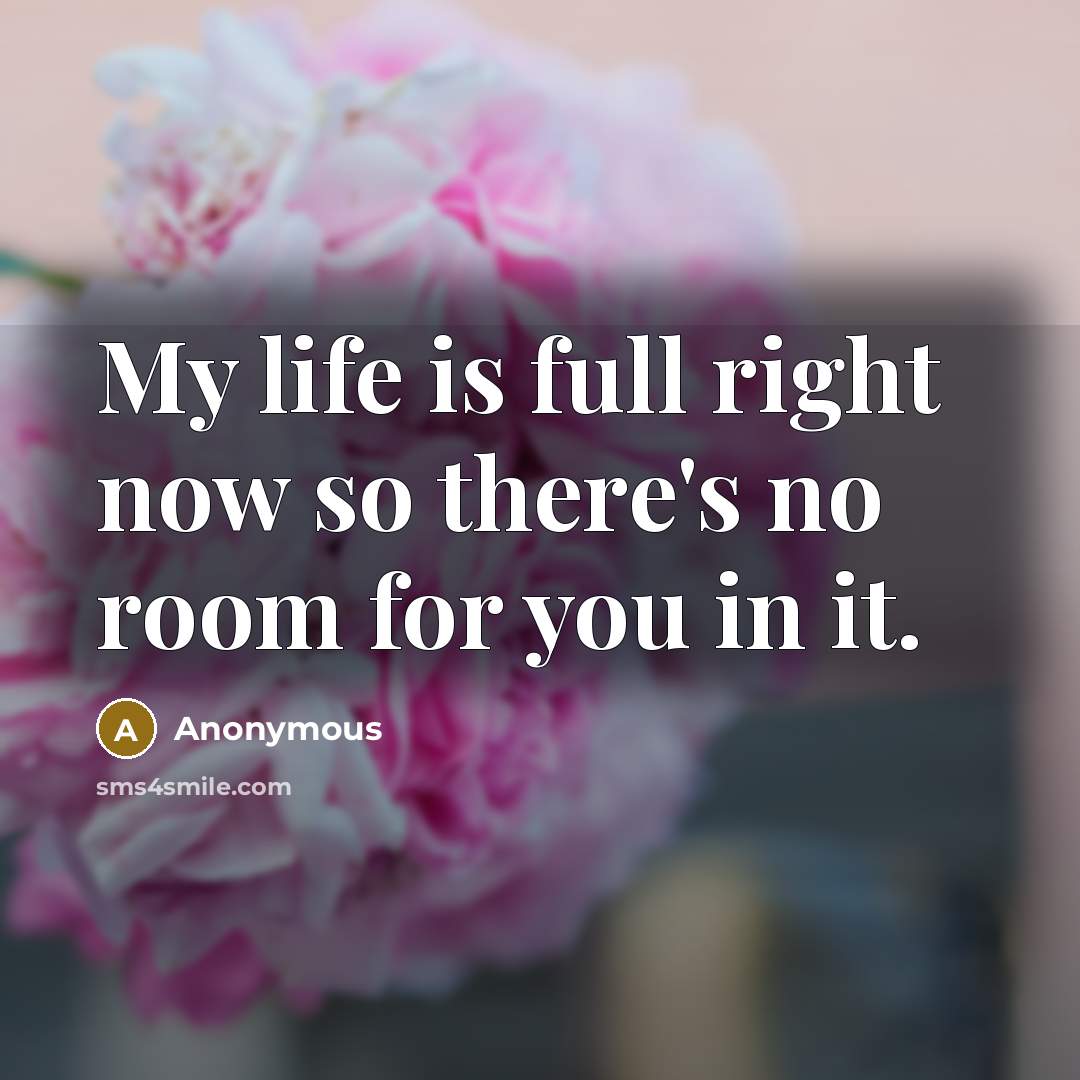 “My life is full right now so there's no room for you in it.” quote by Anonymous