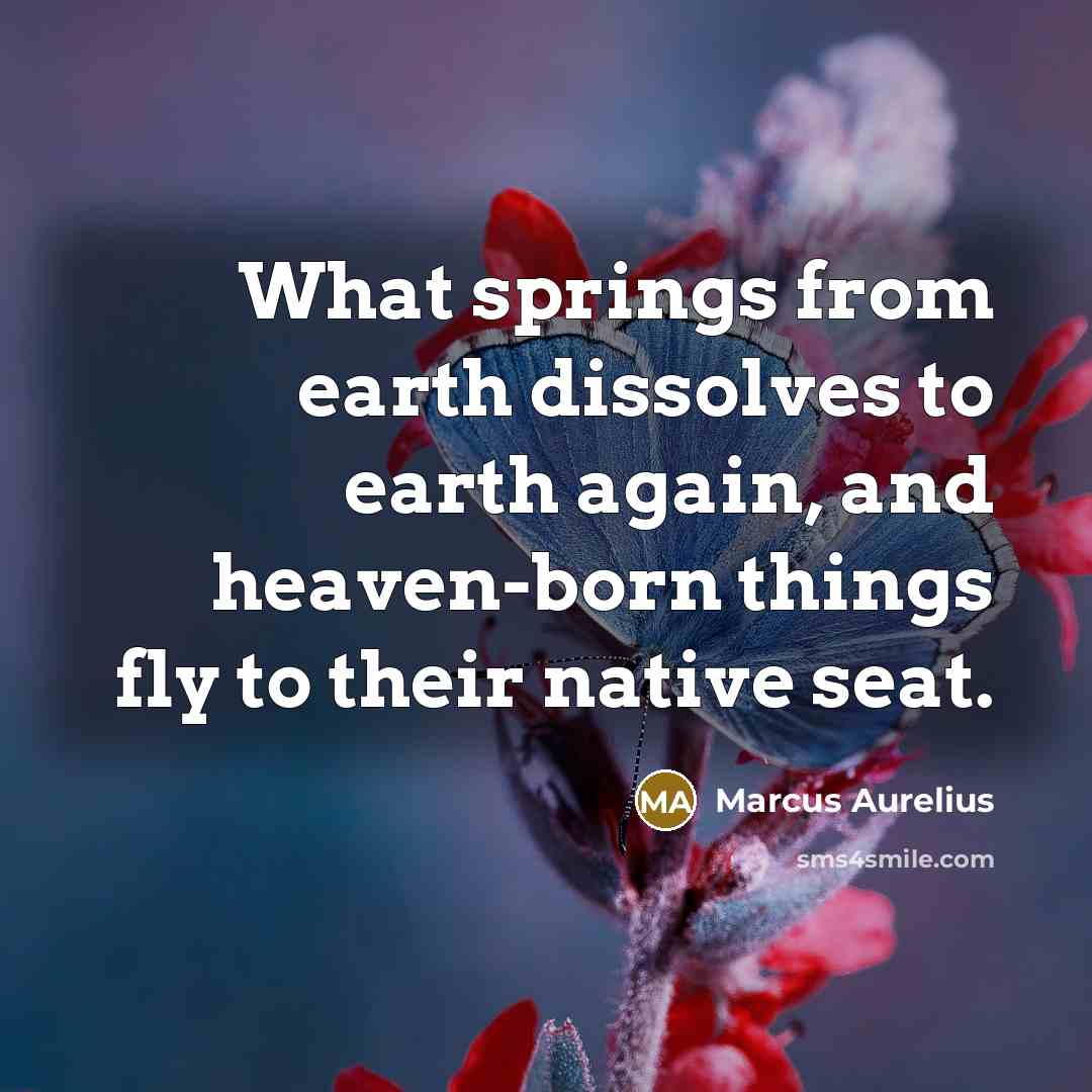“What springs from earth dissolves to earth again, and heaven-born things fly to their native seat.” quote by Marcus Aurelius